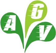 logo-bulles